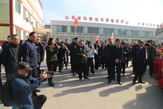 /uploads/images/20251124/48463f8d008ae9cda8b8b903dc99a0e7.png image.png