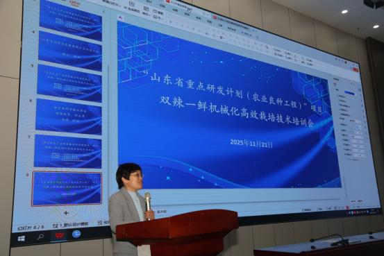 /uploads/images/20251124/684344464c2bf25d0588a7d1049dcdba.png image.png